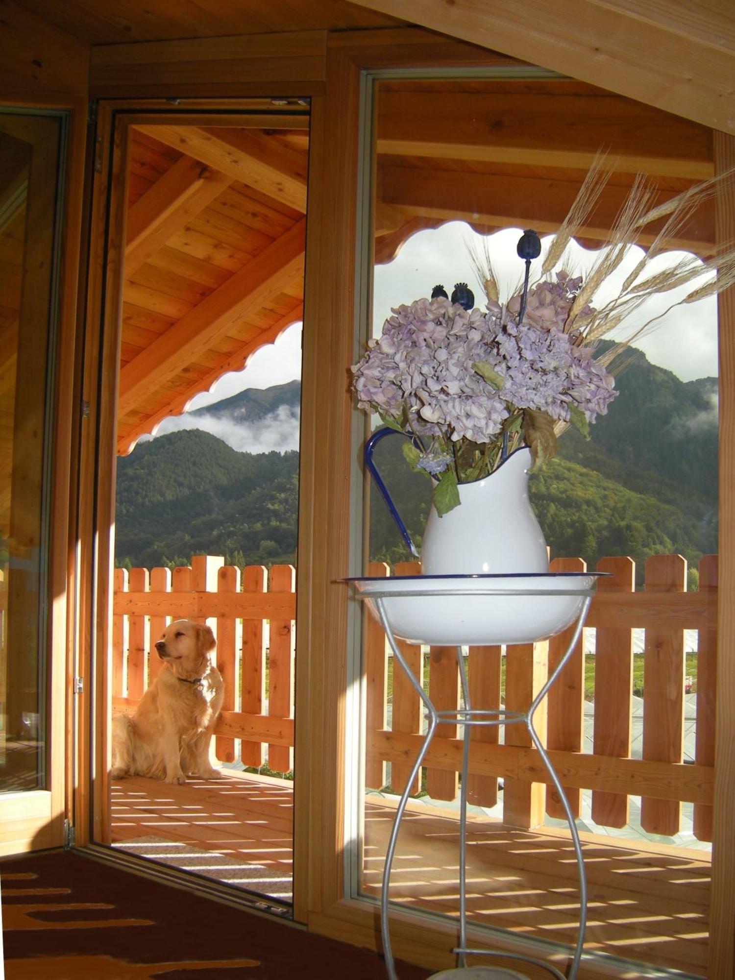 Garni Dal Mozat Bed & Breakfast Lenzumo di Concei Exterior photo